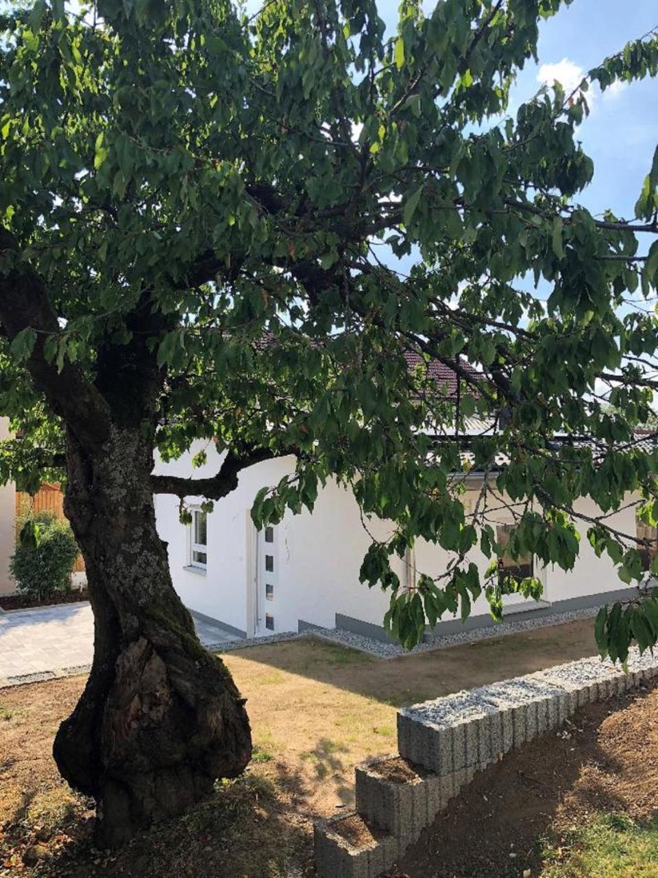 Ferienhaus Koeppel باد ستافلستين المظهر الخارجي الصورة